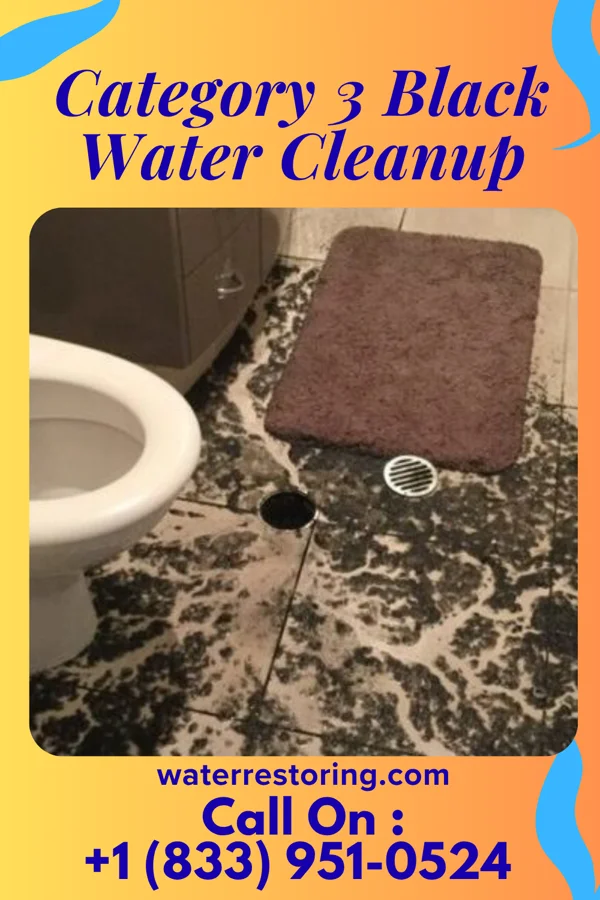 Category 3 Black Water Cleanup in Etowah, AR